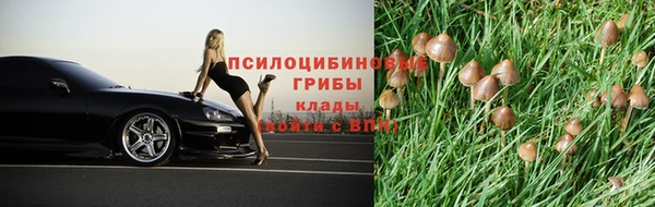 мяу мяу мука Богородск
