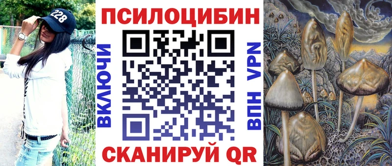 Псилоцибиновые грибы прущие грибы  kraken как войти  Бодайбо 