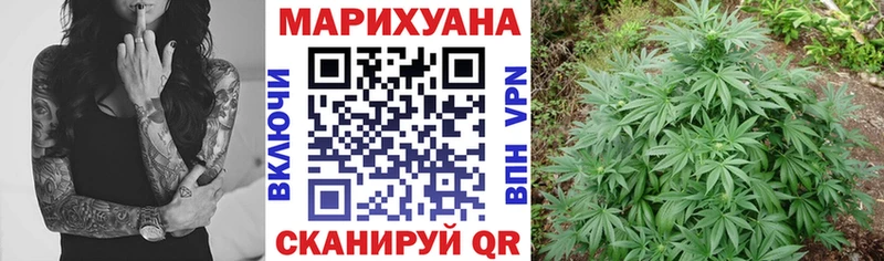МАРИХУАНА сатива Бодайбо